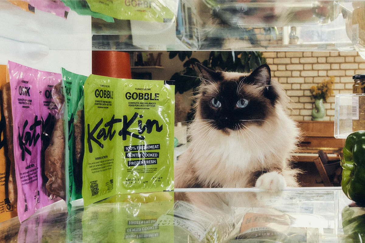 Kat Kin Funding Kat Kin