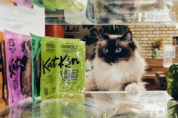 Kat Kin Funding Kat Kin