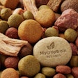 Rising demand for sustainable, high-protein and allergen-friendly pet food alternatives is driving mycoprotein ingredient market growth.