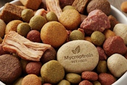 Rising demand for sustainable, high-protein and allergen-friendly pet food alternatives is driving mycoprotein ingredient market growth.