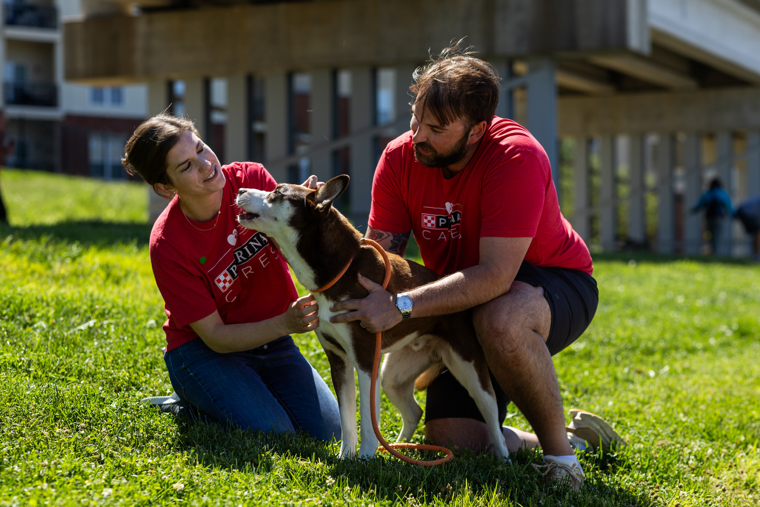 Nestle Purina Pet Care Grants To Support Communities And Pets In Need