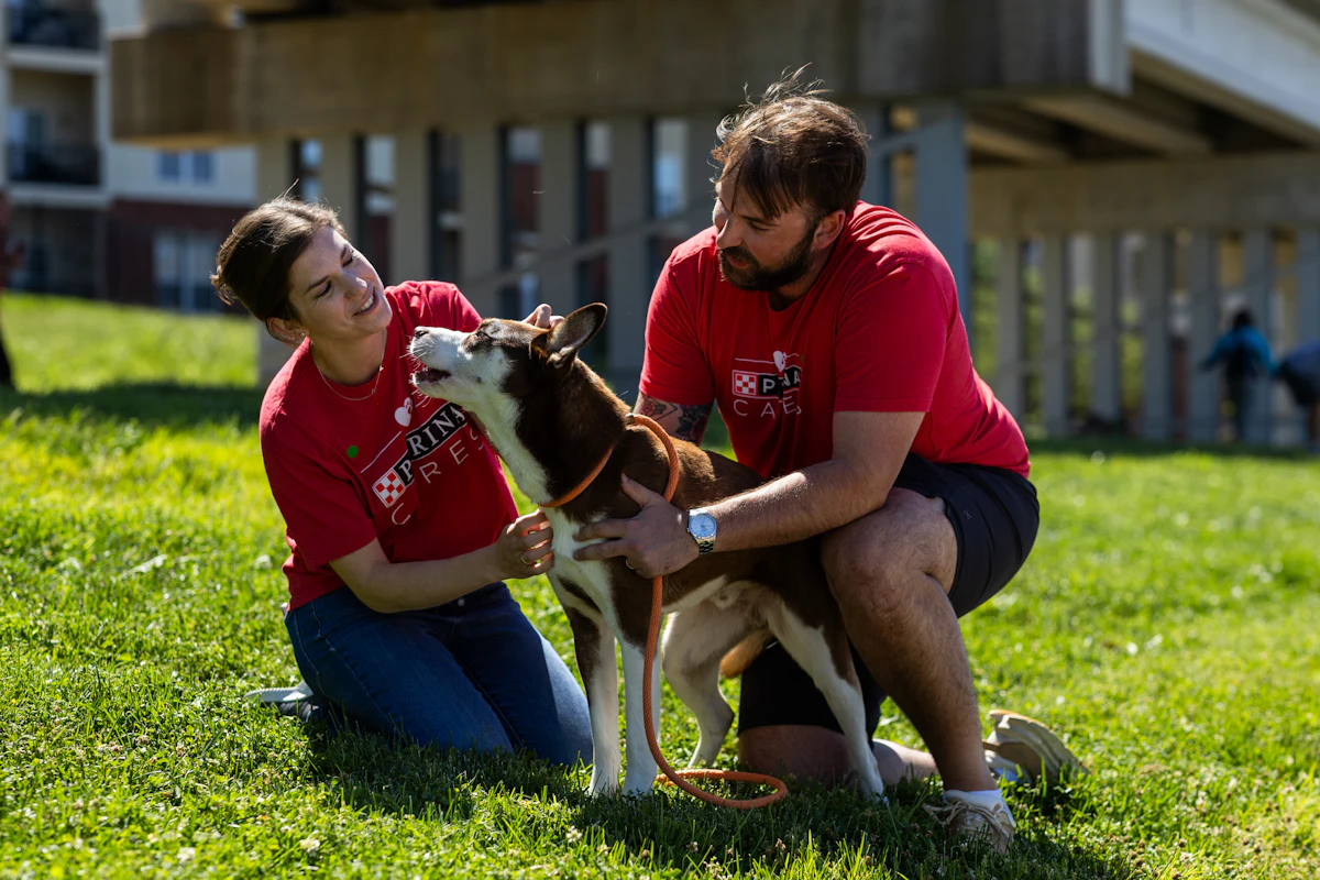 Purina Foundation awards over  million to nonprofits
