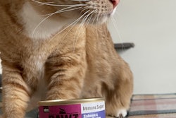 Two Legs Four Paws supports more than 60 animal rescue groups across Oklahoma.