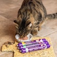 Tribal Pet Foods Cat Food Launch