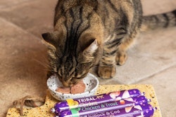 Tribal Pet Foods Cat Food Launch