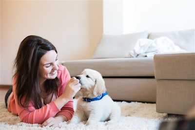 Mexico's pet demographics are undergoing a generational shift.