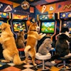1980s Video Game Arcade Filled With Realistic Pets Playing Pet Themed Video Games
