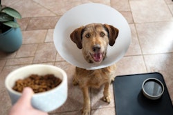 Hill’s offers both dog and cat foods in dry and wet formulas, as well as treats. More importantly, the company focuses on breed size, lifestage and health category to ensure pets eating Hill’s food get the precise nutrition they need to be healthy.