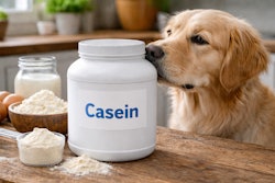 A Dog Sniffing A Container Of Casein Human Food Supplement