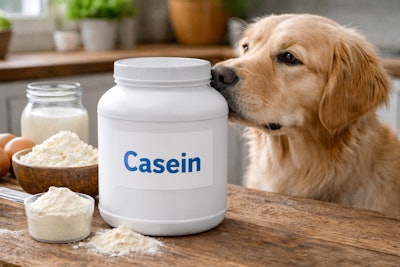 A Dog Sniffing A Container Of Casein Human Food Supplement