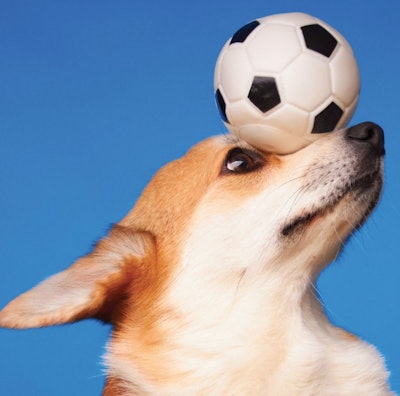 Balancing Premiumization Value Anton Zainchkovsky Istock com