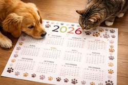 Chat Gpt Image Jan 5, 2026, 05 32 52 Pm