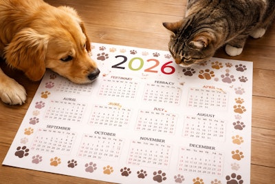 Chat Gpt Image Jan 5, 2026, 05 32 52 Pm