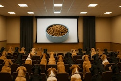 Conference Hall Filled With Dogs