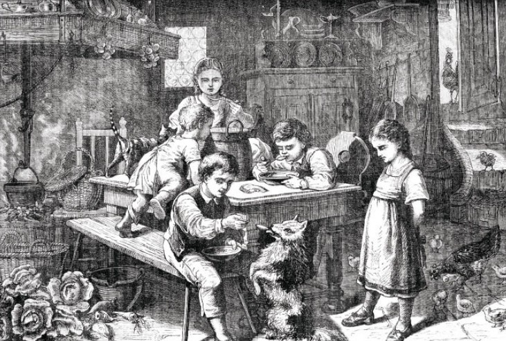 Pet food has come a long way from the table scraps initially fed to outside pets.