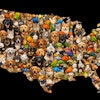 Map Of The Continental United States Made Up Of A Mosaic Of Pets