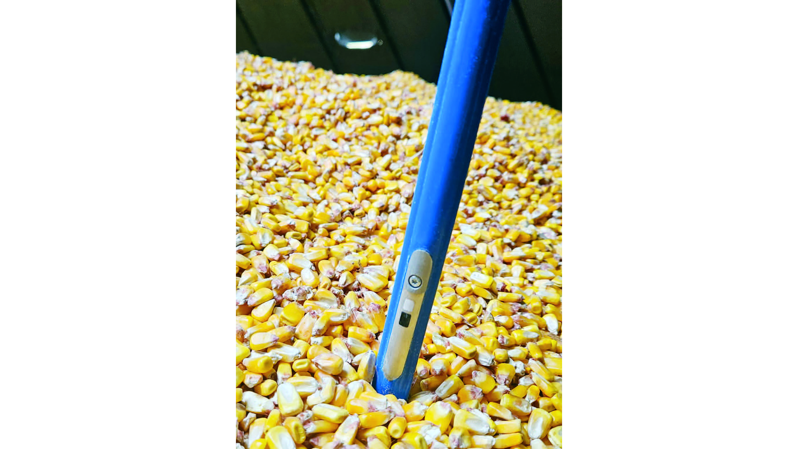 Omni 3 In 1 Grain Monitoring Cable