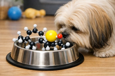 Vitamin E Molecule In A Dog Food Bowl A Lhasa Apso Dog Is Sniffing It