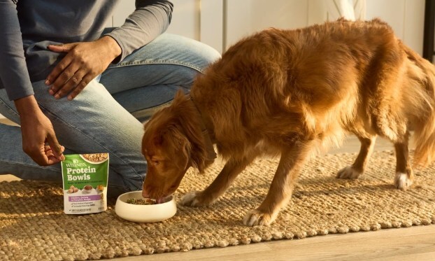 Wellness Pet Company Protein Bowls