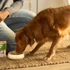 Wellness Pet Company Protein Bowls