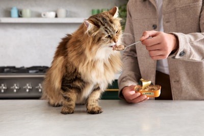 This Valentine&rsquo;s Day, Jinx and Tinx are flipping the narrative &mdash; positioning cat parents as the ultimate &ldquo;green flag&rdquo; in today&rsquo;s dating landscape.