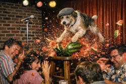1980s Photo Of A Dog On A Stand Up Comedy Stage In A Comedy Club