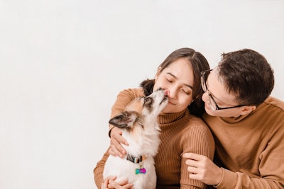 In in a 2025 survey, Japan's dog population grew to 6.82 million from 6.796 million in 2024.