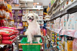 Cute Dog In Cart In Pet Food Story Pong Moji Bigstock com
