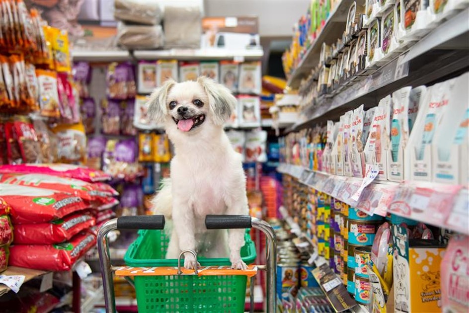 AI shifts pet food packaging from silent commodity to intelligent concierge - Petfood Industry