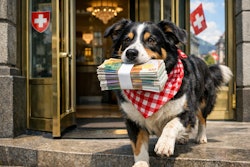 Dog Carrying A Stack Of Swiss Francs Out Of A Swiss Bank The Dog Wears A Red Checkerboard Bandana Around Her Neck
