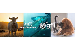 I Fx Gfli Banner
