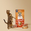 Jinx New Cat Food Lineup