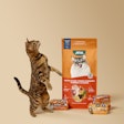 Jinx New Cat Food Lineup