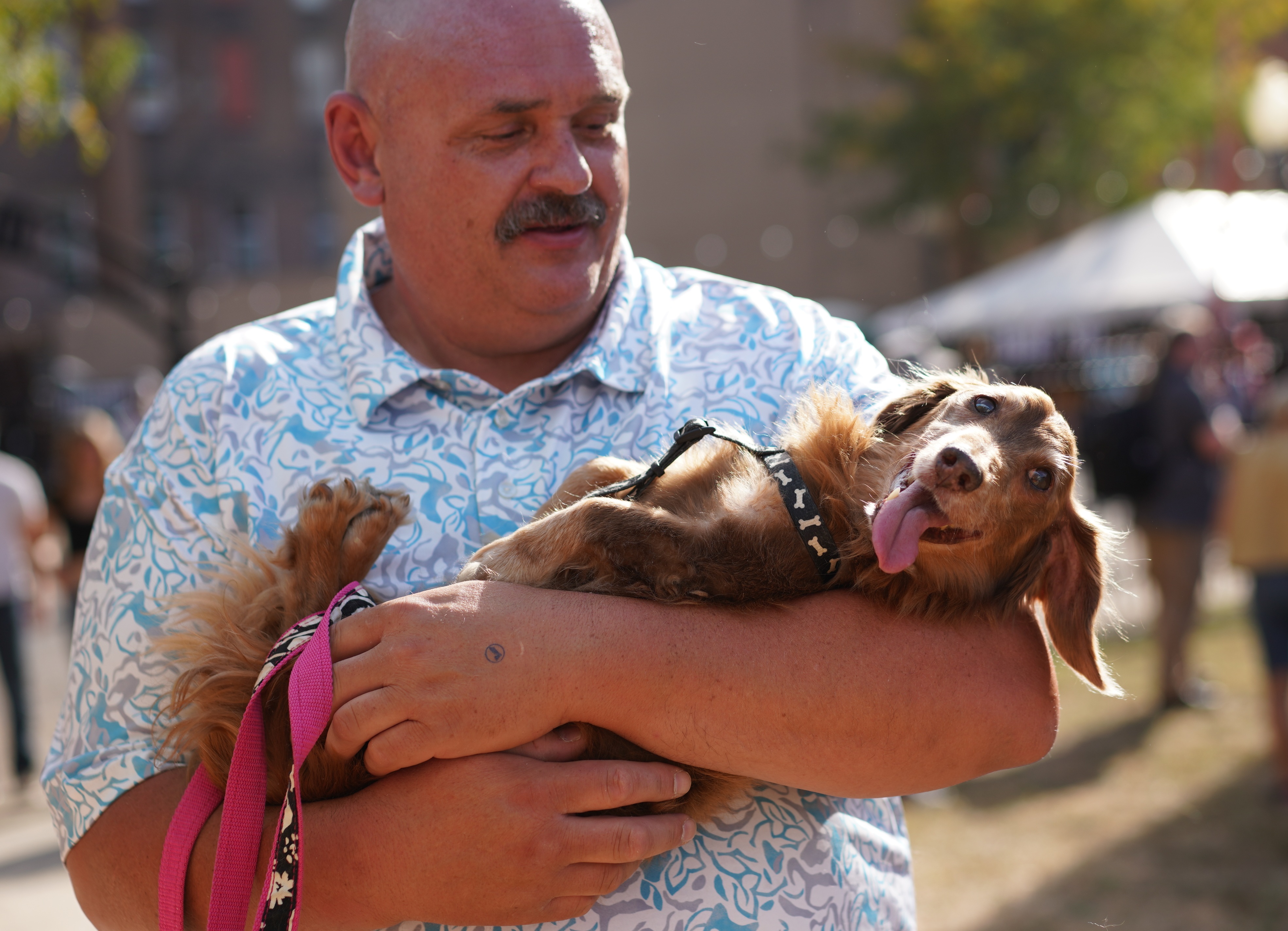 As Americans observe Heart Health Month this February, research shows the human-animal bond, particularly with dogs, may support cardiovascular health.
