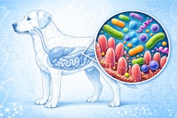 Tim Wall Chat Gpt Image