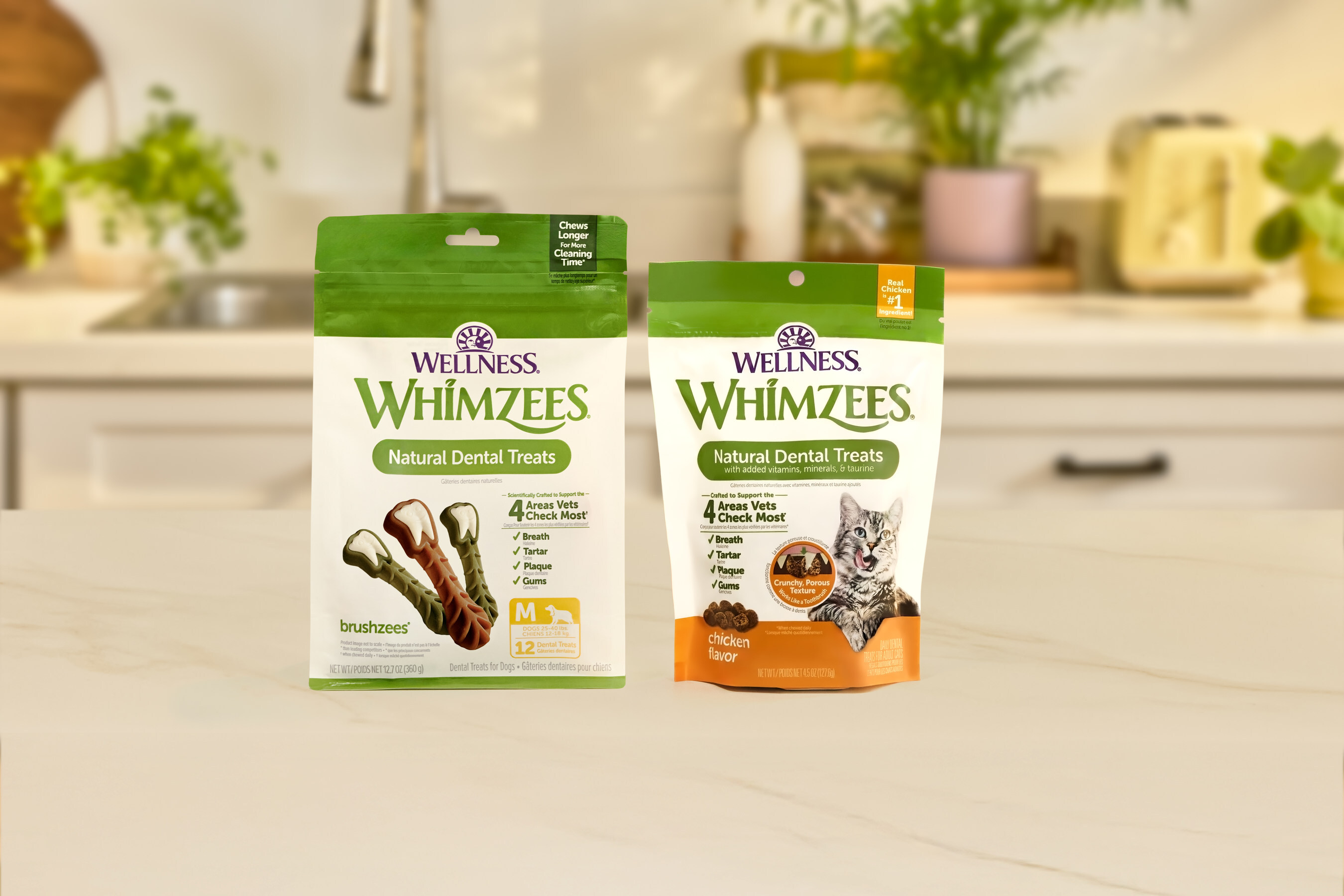 Wellness Pet Company Dental Treat