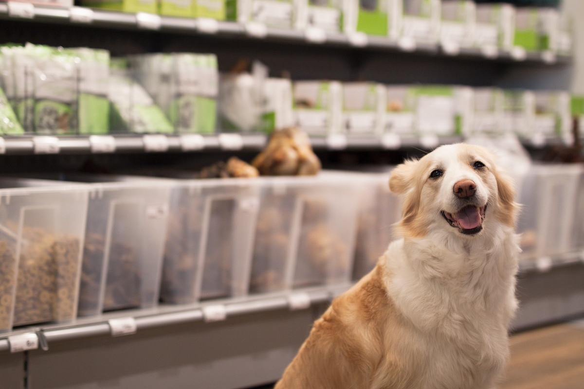 David R&ouml;nnberg, CEO of Musti Group, said that following a slow start in the first quarter of last year, 2025 represented a rebound year for the pet care business.