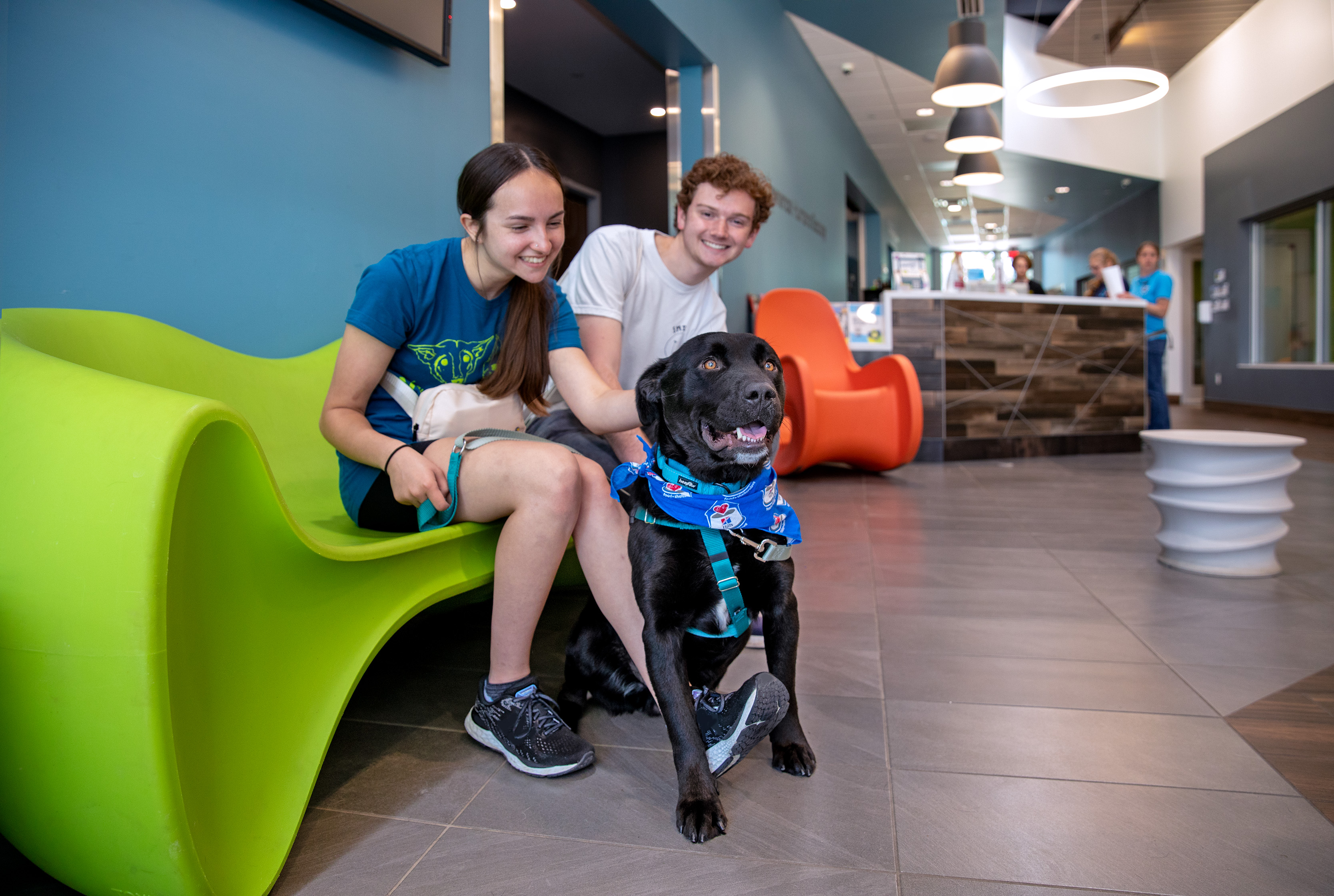 Gen Z and millennials were nearly twice as likely as Gen X and baby boomers to consider adopting a large dog from a shelter, but face pet-related housing restrictions.