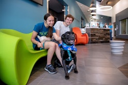 Gen Z and millennials were nearly twice as likely as Gen X and baby boomers to consider adopting a large dog from a shelter, but face pet-related housing restrictions.