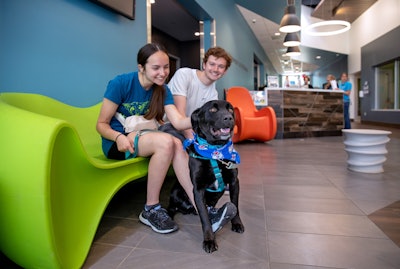 Gen Z and millennials were nearly twice as likely as Gen X and baby boomers to consider adopting a large dog from a shelter, but face pet-related housing restrictions.