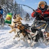 A Dog Sled Racing In The Iditarod Race