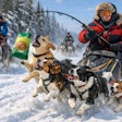 A Dog Sled Racing In The Iditarod Race