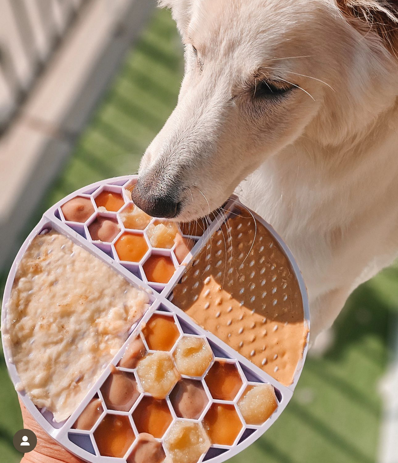 Bark Bistro is expanding from its e-commerce and specialty retail strategy into premium grocery.