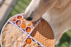 Bark Bistro is expanding from its e-commerce and specialty retail strategy into premium grocery.