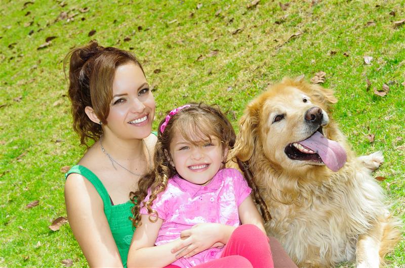 Over the past decade, the Latin American pet food market has grown steadily, driven by urbanization, smaller households and the humanization of pets.