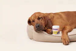 Boops Pets Ashwagandha Calming Chews