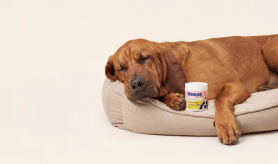 Boops Pets Ashwagandha Calming Chews
