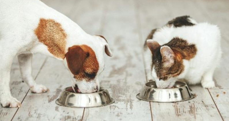 Amid growing concerns about misinformation, industry leaders need to ensure consumer communication is grounded in facts and scientific rigor.