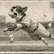 Dog On A Baseball Field