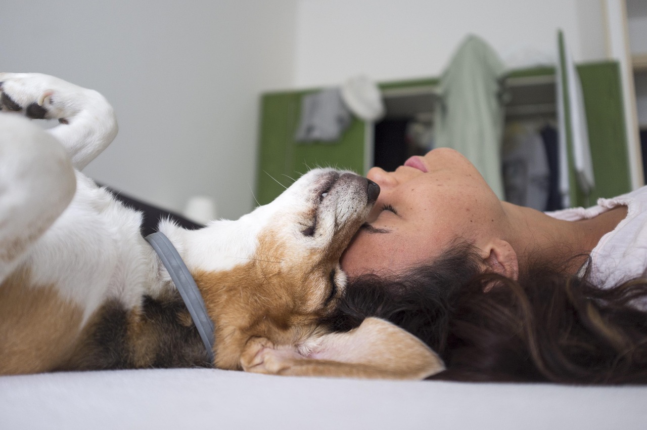 Gen-Z owners, defined as those ages 18&ndash;29, showed the highest levels of concern regarding their pet's stress and anxiety.